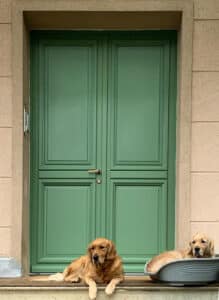 green wood entry doors with dogs at the front